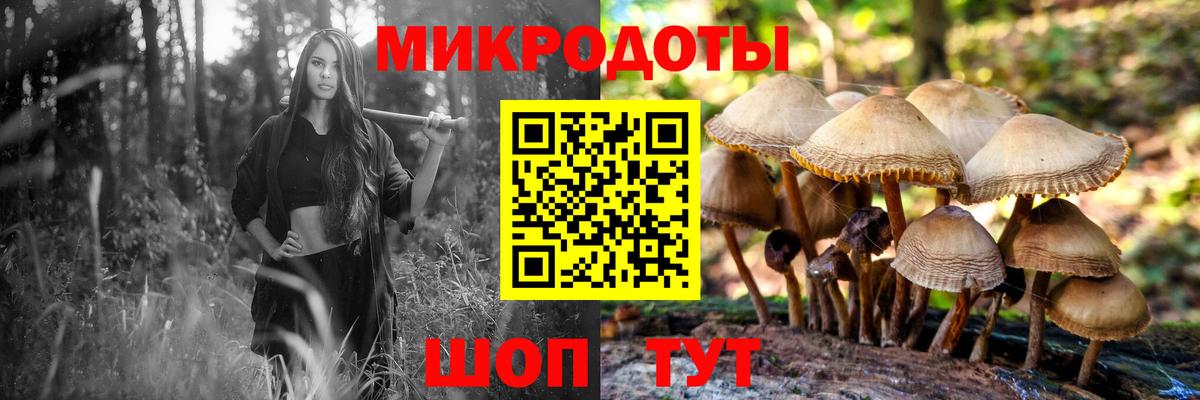 Светлоград  Псилоцибиновые грибы мухоморы  Галлюциногенные грибы Psilocybine cubensis  Вход с VPN 